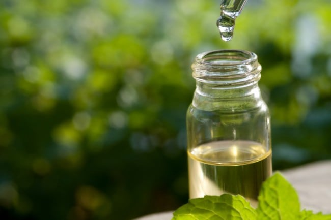 tea tree oil for cold sores